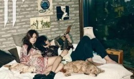 李孝利的民宿在线观看,浪漫体验，在线揭秘