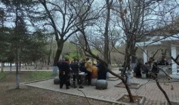 哈尔滨植物园爆料视频大全,探秘园中奇观与生态魅力