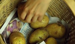 网友爆料土豆生芽视频下载,揭秘发芽土豆的神奇功效