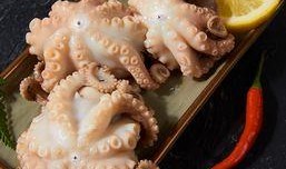 八爪鱼爆料最新,揭秘娱乐圈最新动态，明星幕后故事大曝光！