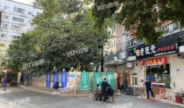 桂庙新村爆料案件真相视频,还原惊人内幕