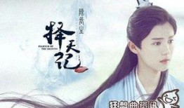 择天记小说在线观看,穿越时空的奇幻之旅，探寻命运与爱情交织的传奇故事