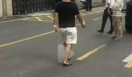 株洲跳楼事件最新爆料,惊人内幕揭露，真相令人震惊