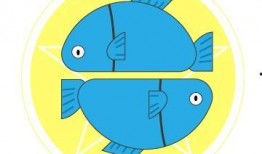 女4在线观看,揭秘网络红人的崛起之路